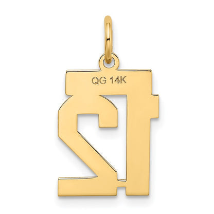 14k Yellow Gold Small Satin Number 12 Charm Pendant for Women