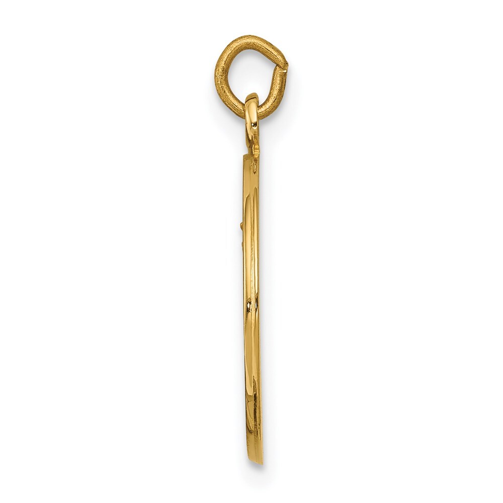 14k Yellow Gold Our Lady of Mount Carmel Medal Charm Pendant for Women