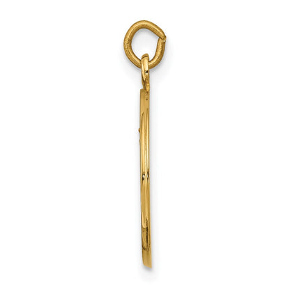 14k Yellow Gold Our Lady of Mount Carmel Medal Charm Pendant for Women