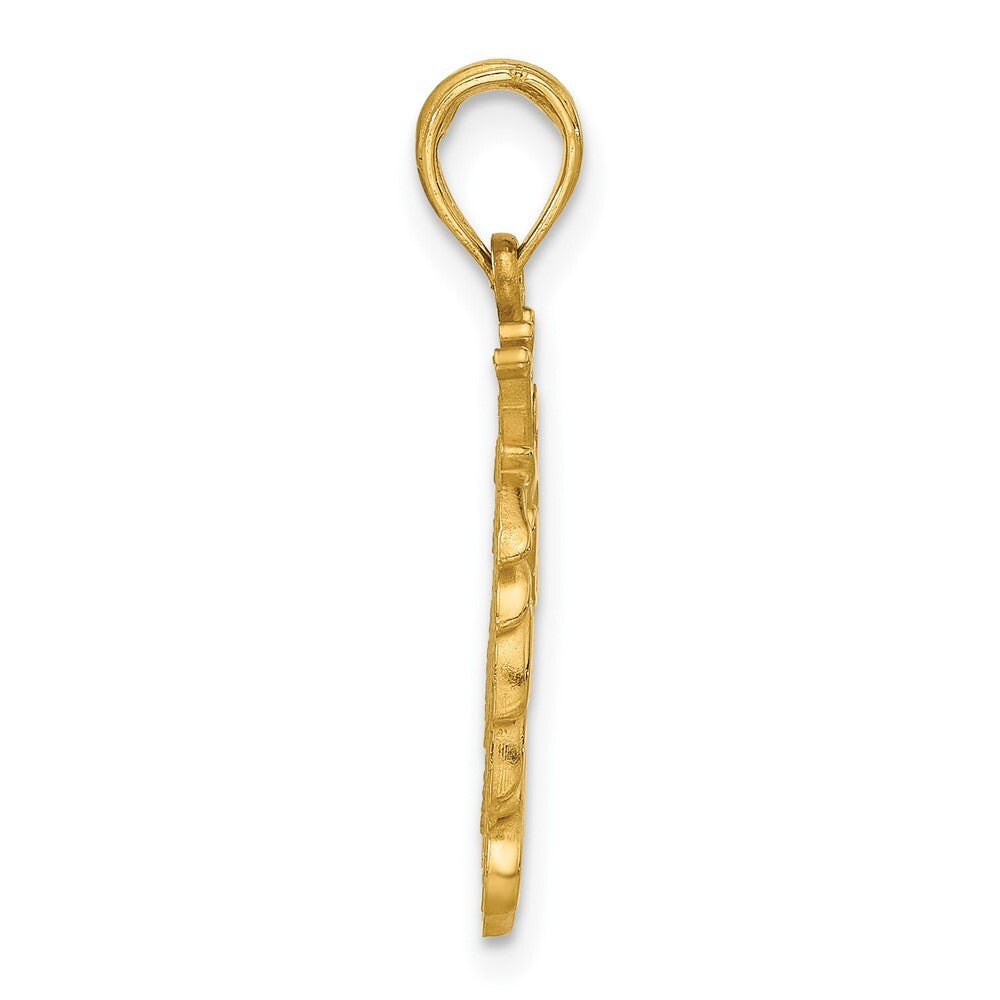 14k Yellow Gold Polished Lion Head with Crown Pendant for Women