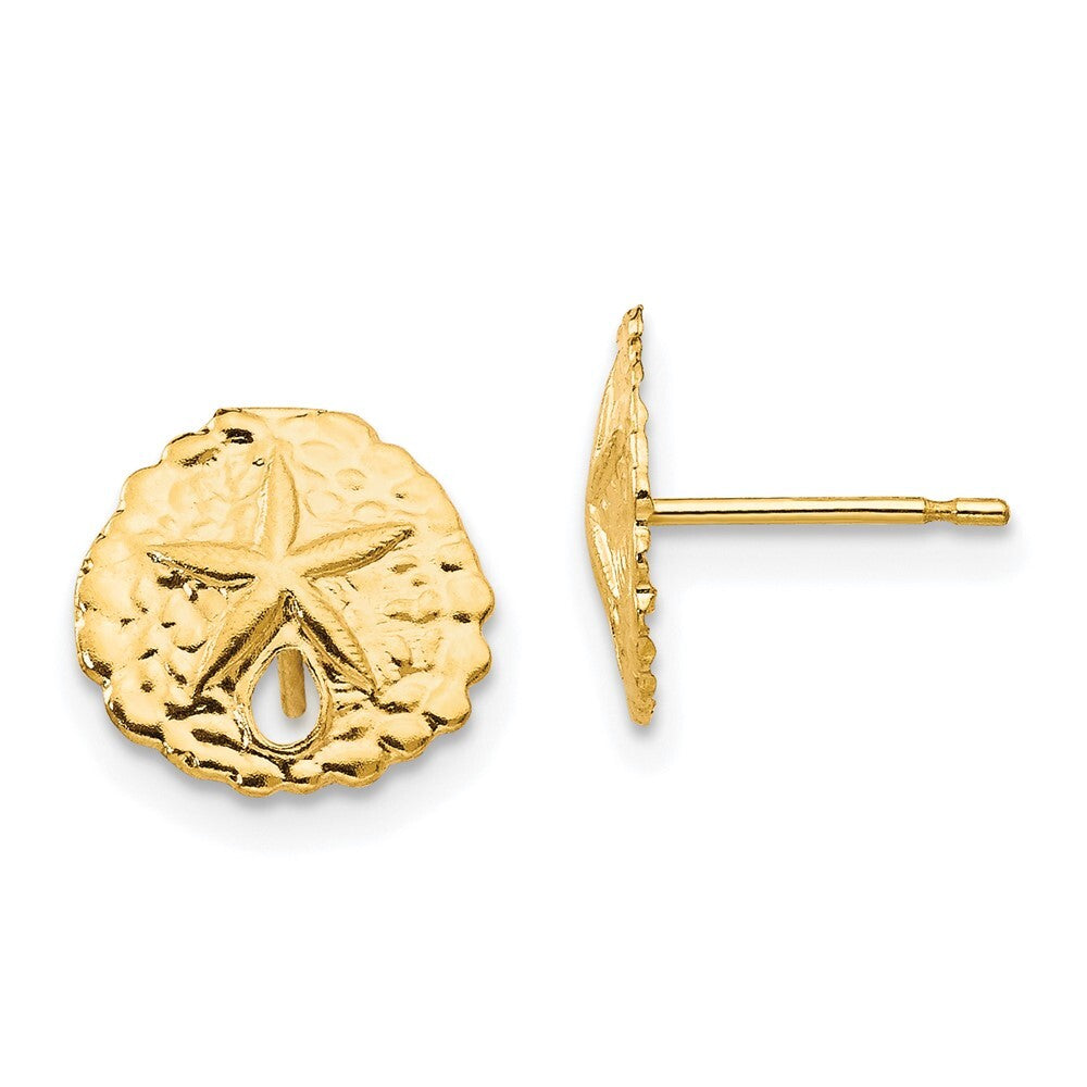 14k Yellow Gold Sand Dollar Stud Earrings Gift for Women