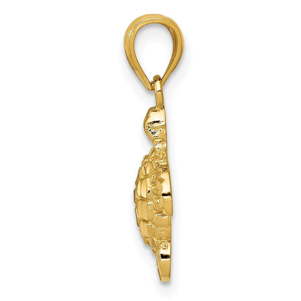 14k Yellow Gold Gold Polished and Textured Diamond-cut Turtle Pendant for Women