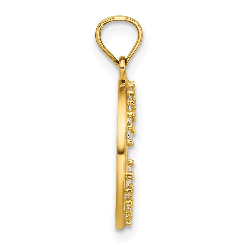 14k Yellow Gold Polished Cubic Zirconia Star of David in Circle Pendant