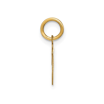 14k Yellow Gold Lower case Letter T Initial Charm Pendant for Women
