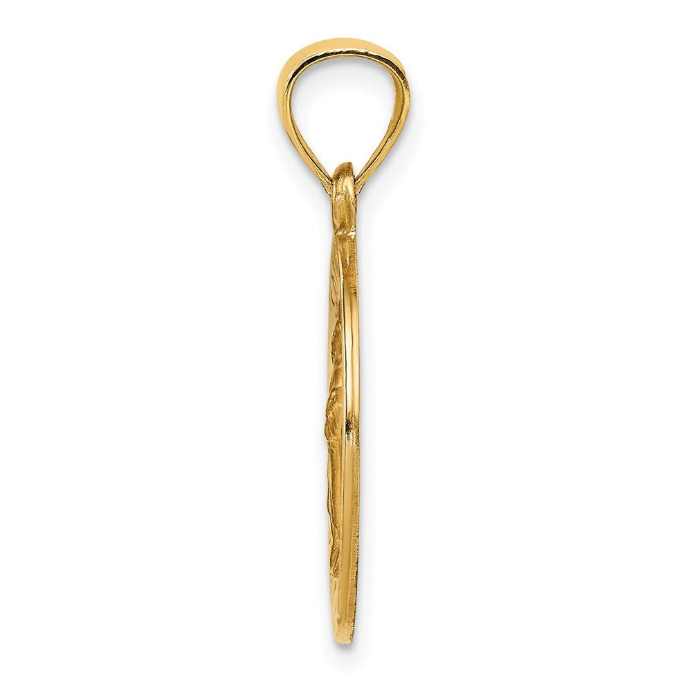14k Yellow Gold Polished and Satin St Raphael Medal Hollow Pendant for Women