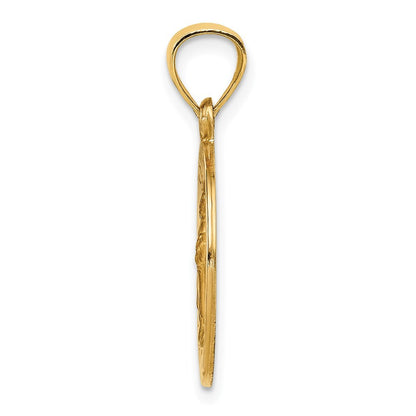 14k Yellow Gold Polished and Satin St Raphael Medal Hollow Pendant for Women