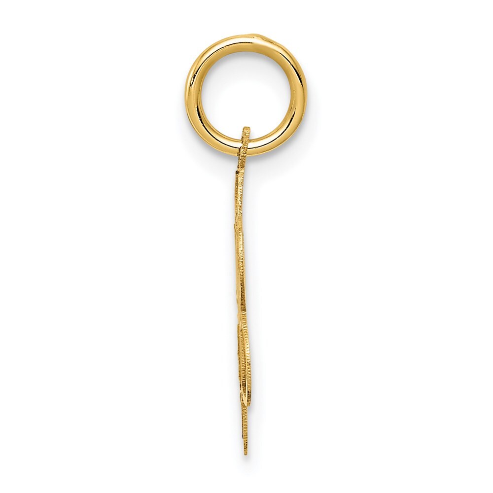 14k Yellow Gold SWEET 16 Disc Charm Pendant for Women