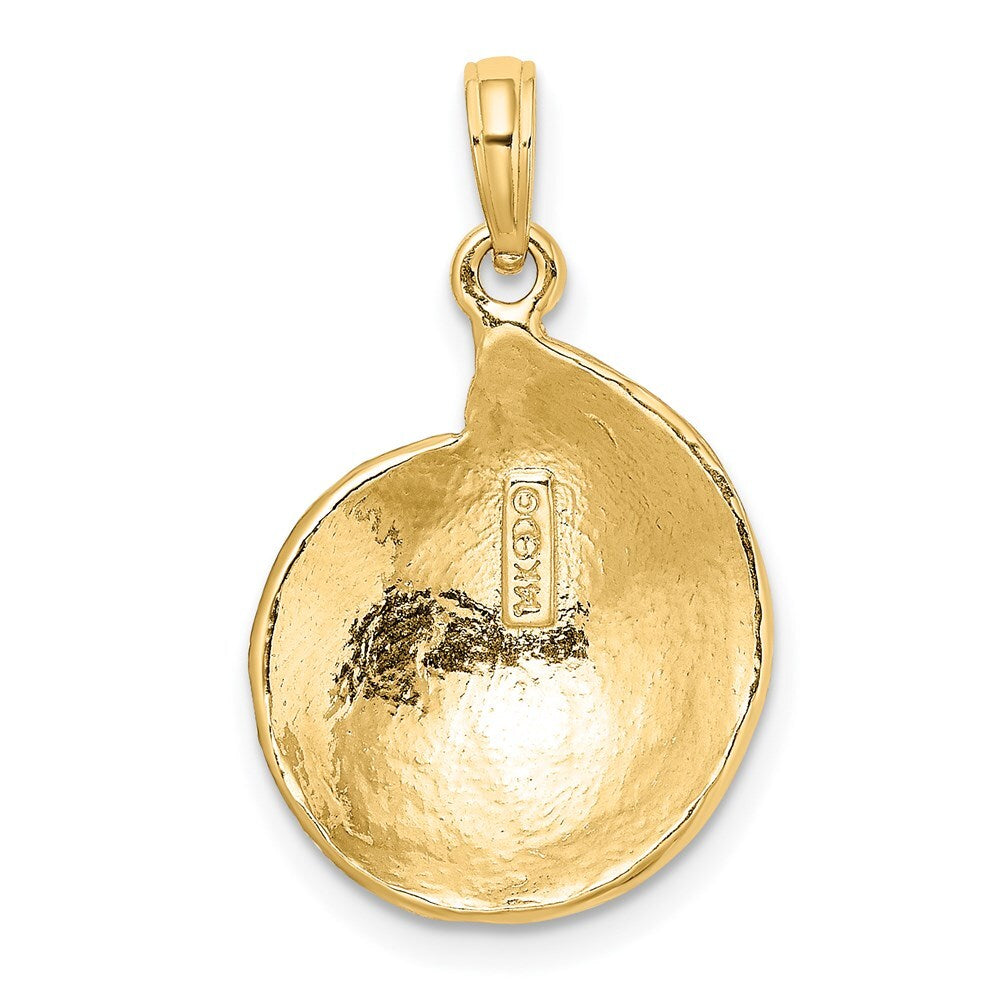 14k Yellow Gold Textured Troca Shell Charm Pendant for Women