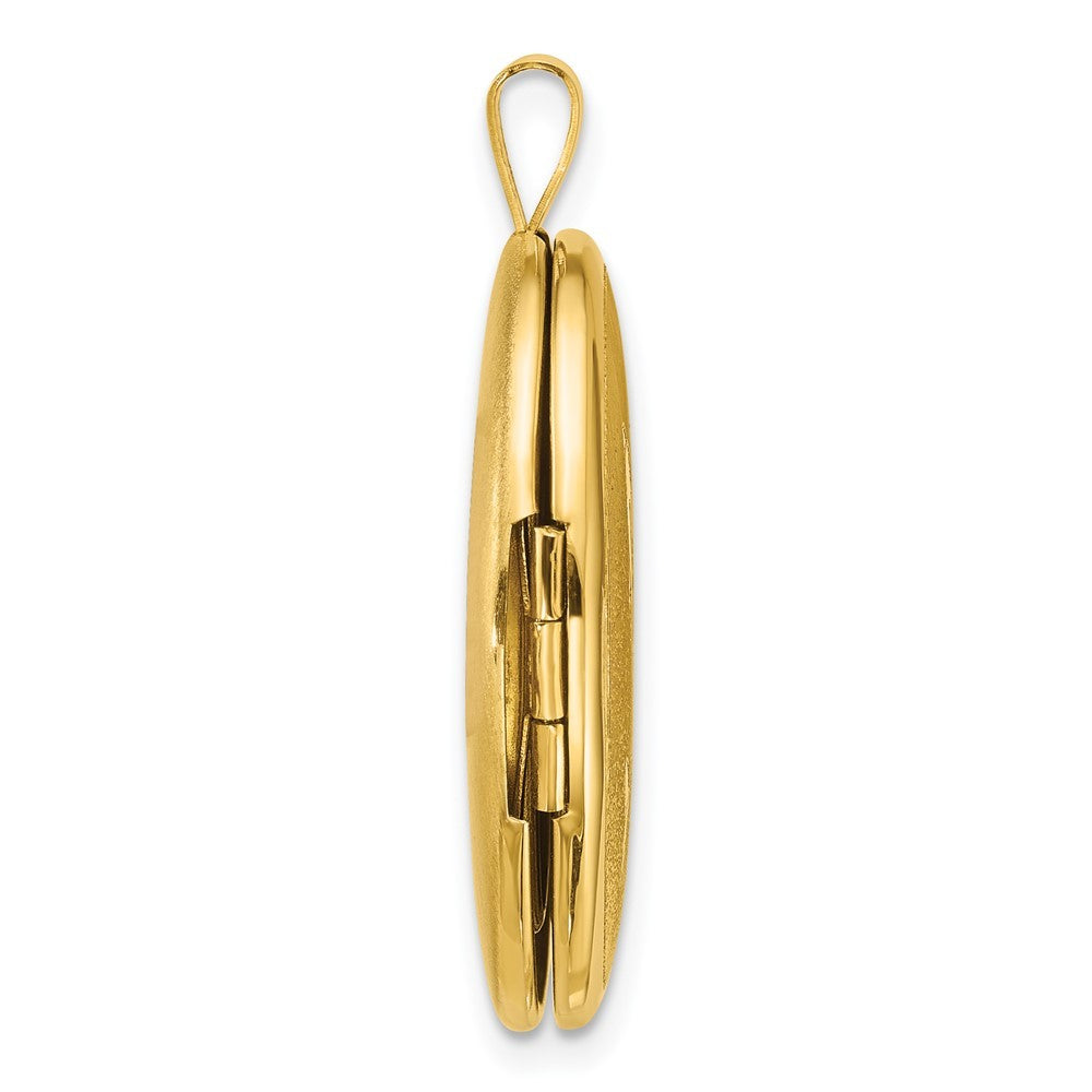 Sterling Silver Gold-plated Polished Front Brushed Back Two Dolphins Oval Locket