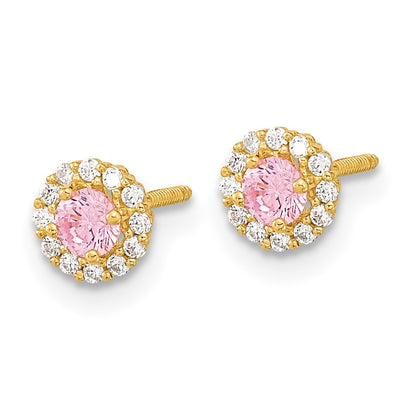 14k Yellow Gold Polished Pink and Clear CZ Screwback Earrings