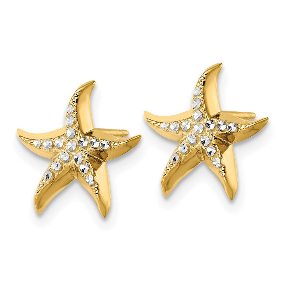 14k Yellow Gold w/Rhodium Starfish Earrings