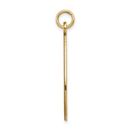 14k Yellow Gold Medical Jewelry Unenameled Pendant for Women