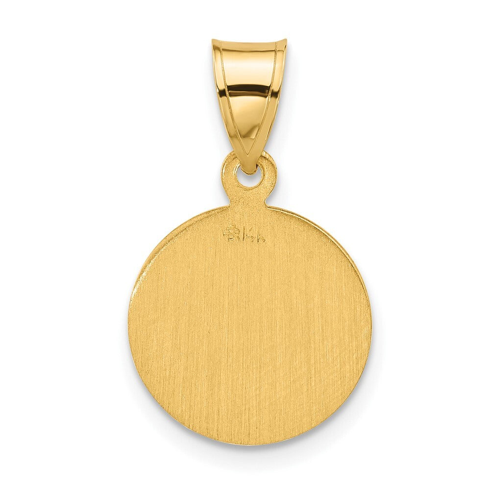 14k Yellow Gold Polished and Satin Solid Face of Jesus Medal Pendant for Women