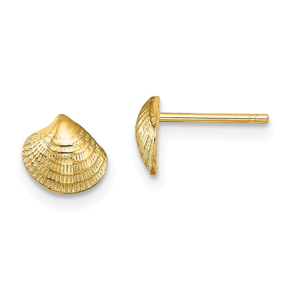 14k Yellow Gold Mini Clam Shell Stud Earrings Gift for Women