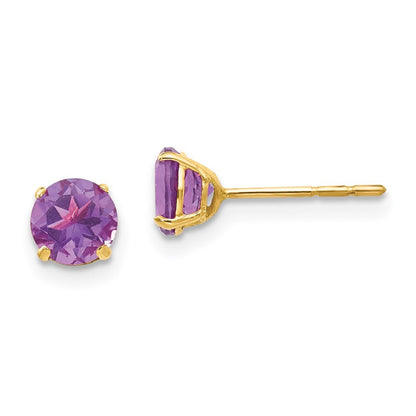 14k Yellow Gold Round Amethyst 5mm Stud Earrings Gift for Women