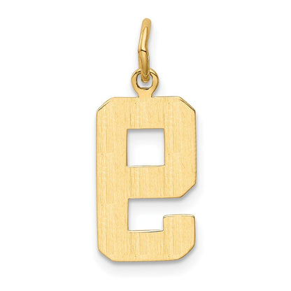 14k Yellow Gold Medium Polished Number 9 Charm