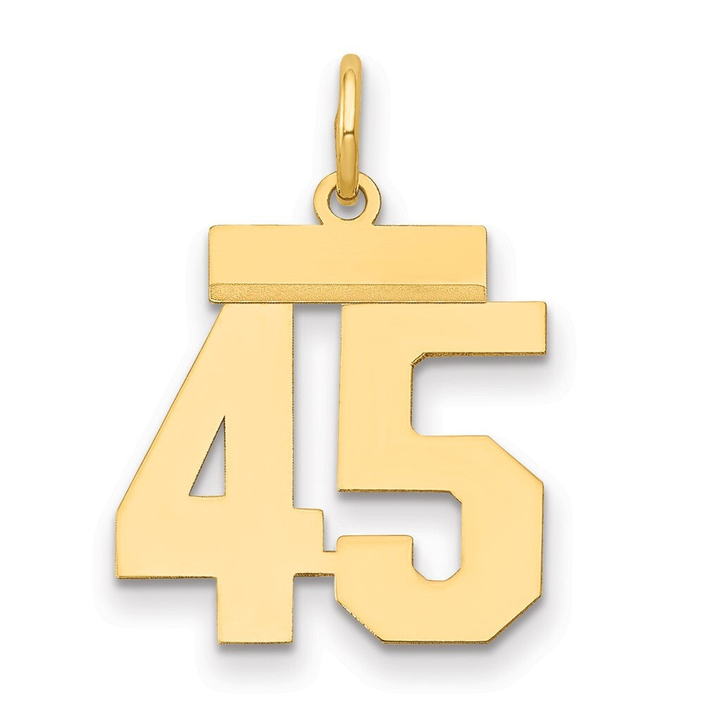 14k Yellow Gold Small Polished Number 45 Charm Pendant for Women