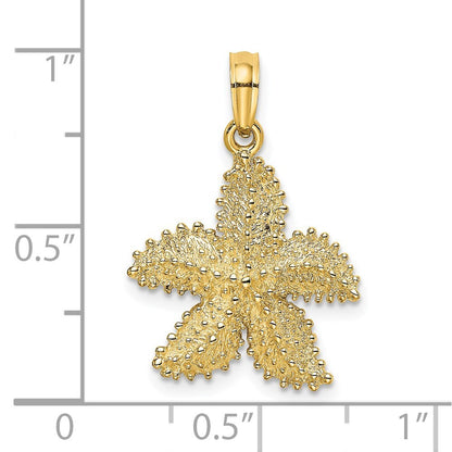 14k Yellow Gold Textured Starfish Charm Pendant for Women