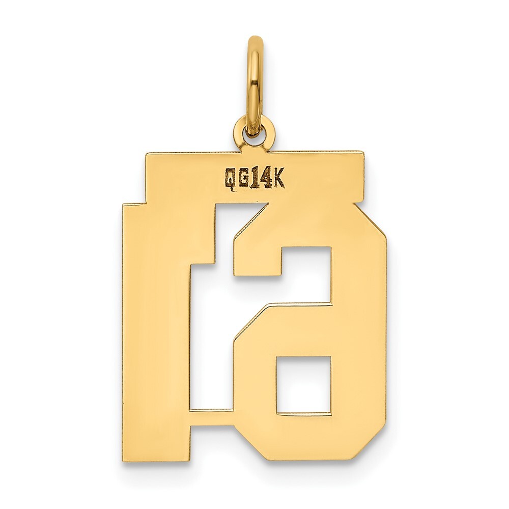 14k Yellow Gold Medium Polished Number 61 Charm Pendant for Women