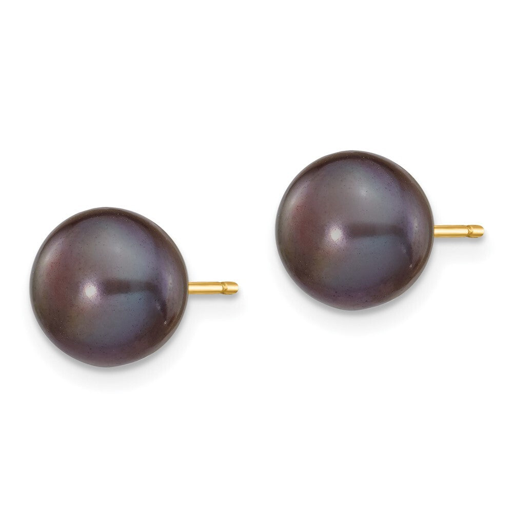 14k Yellow Gold 8-9mm Black Button Freshwater Cultured Pearl Stud Earrings