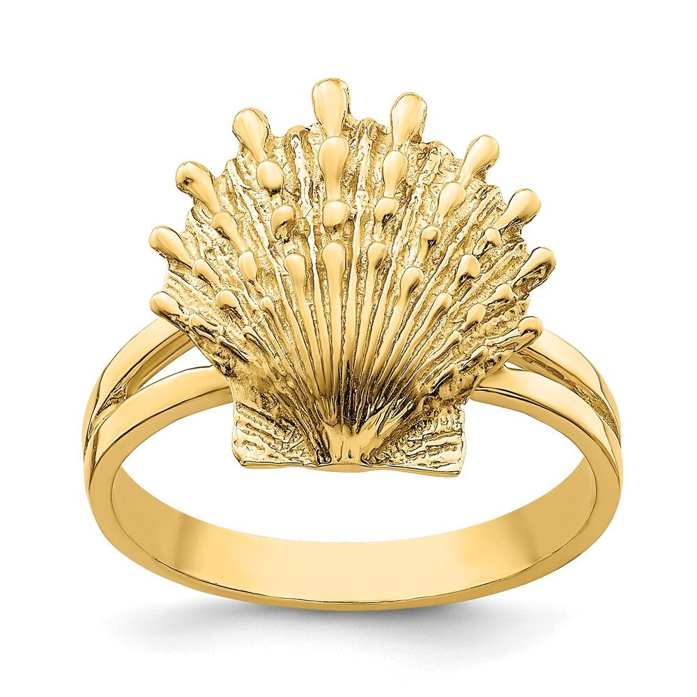14K Yellow Gold Lion's Paw Shell Ring Size 5