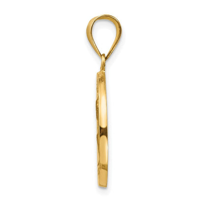 14k Yellow Gold Polished and Satin St Peter Medal Hollow Pendant for Women