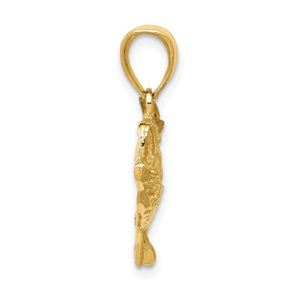 14k Yellow Gold Polished Open-Backed Bass Fish Pendant for Women
