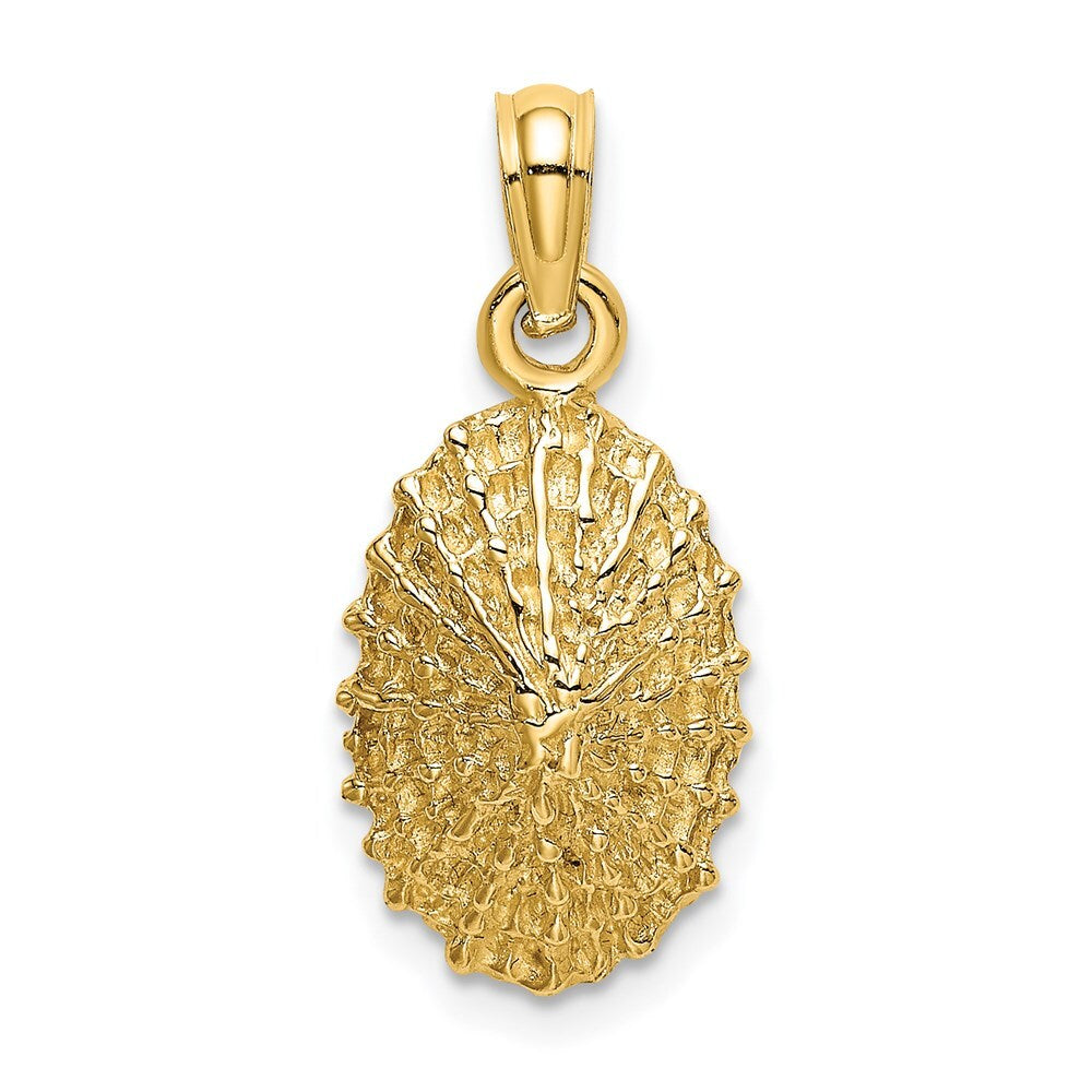 14k Yellow Gold Textured Limpet Shell Charm Pendant for Women