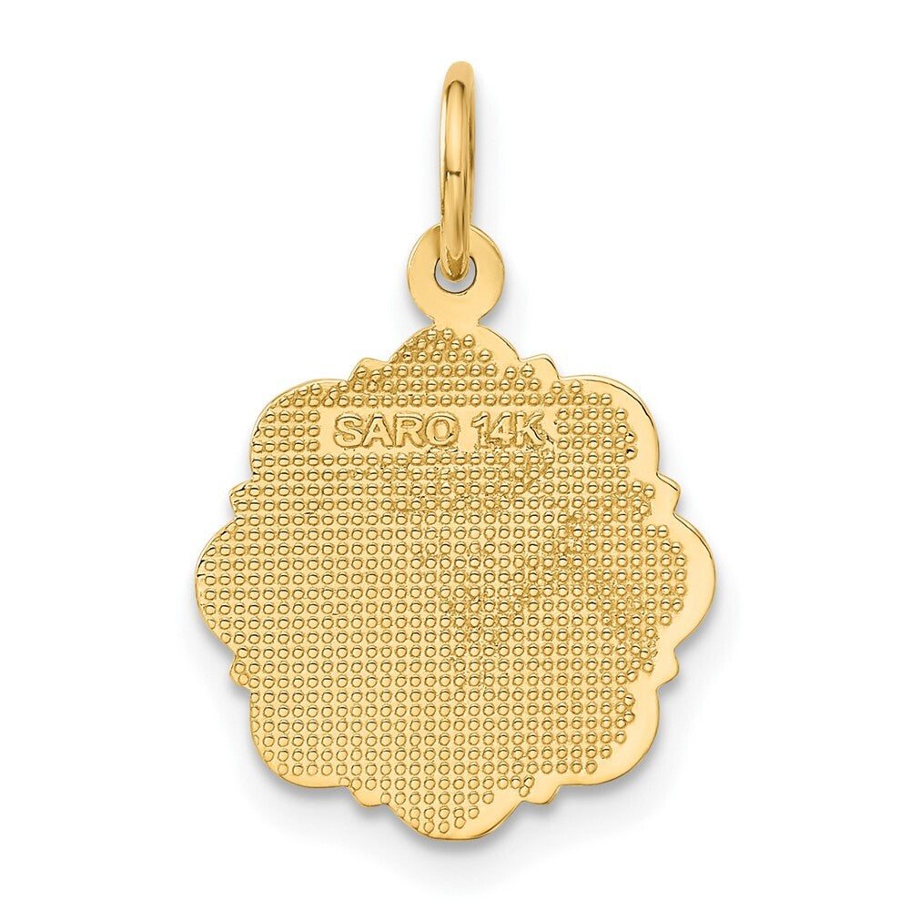 14k Yellow Gold RN Registered Nurse Disc Charm Pendant for Women