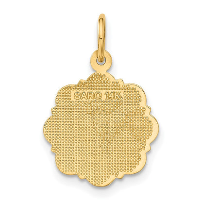 14k Yellow Gold RN Registered Nurse Disc Charm Pendant for Women