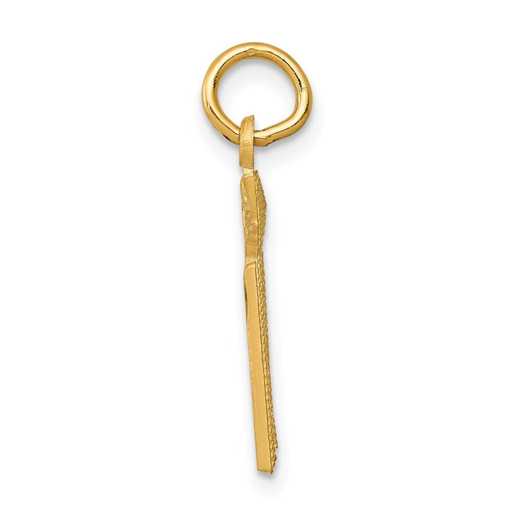 14k Yellow Gold RN Nurse Charm Pendant for Women