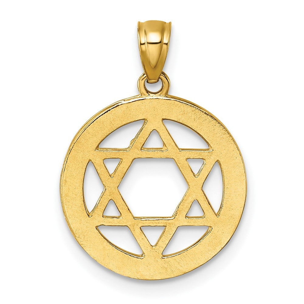 14k Yellow Gold Polished Cubic Zirconia Star of David in Circle Pendant