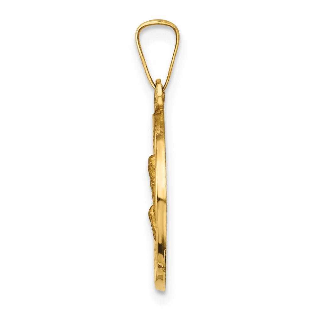 14k Yellow Gold Polished and Satin St Peregrine Medal Hollow Pendant