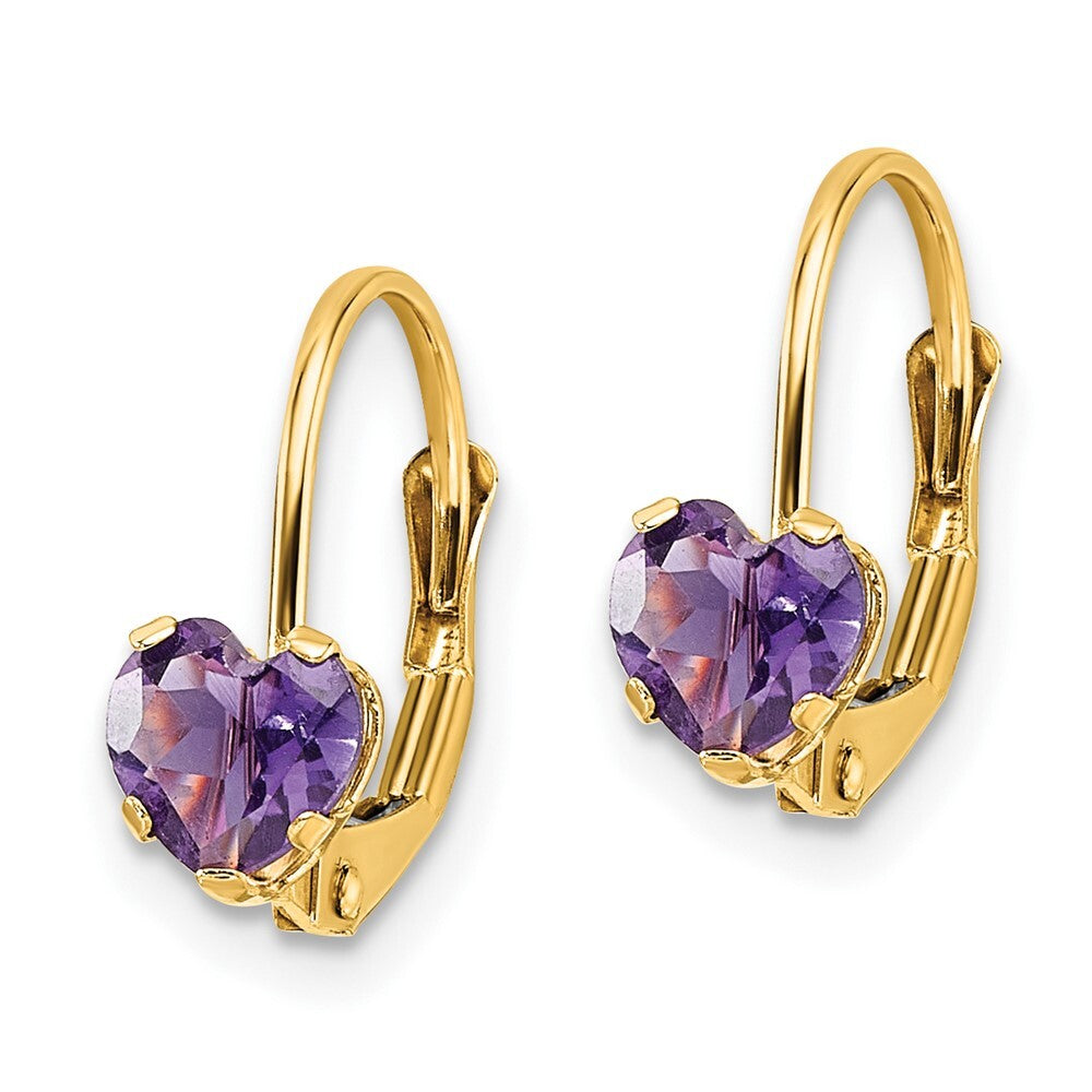14k Yellow Gold 5mm Heart Amethyst Leverback Earrings Gift for Women
