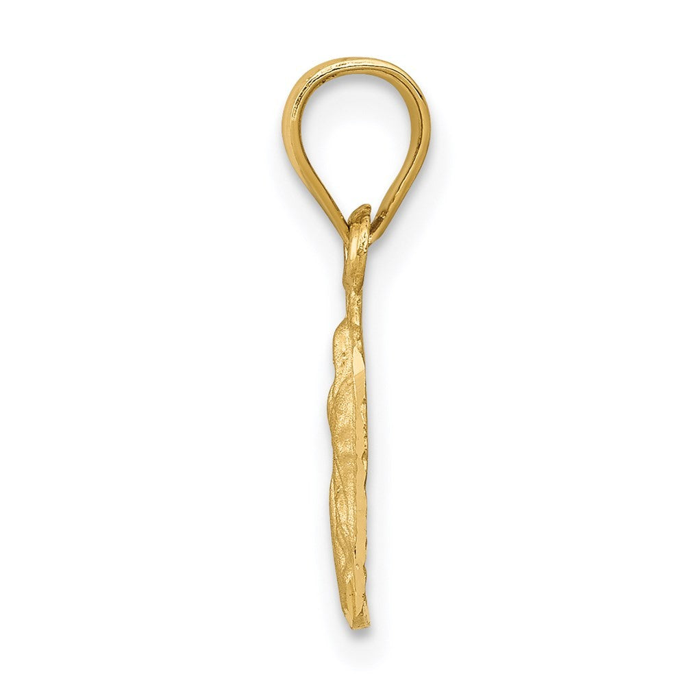 14k Yellow Gold Satin & Diamond-Cut Our Lady of Guadalupe Pendant