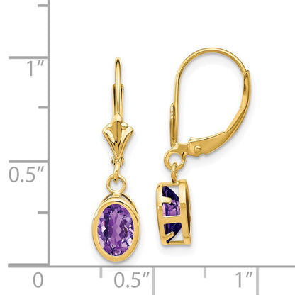 14k Yellow Gold 7x5mm Oval Amethyst Leverback Earrings Gift for Women
