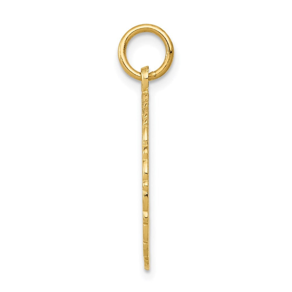 14k Yellow Gold RN Registered Nurse Disc Charm Pendant