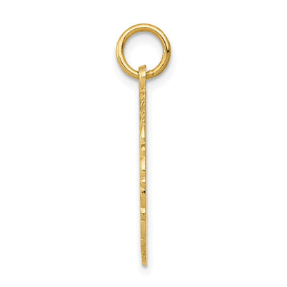 14k Yellow Gold RN Registered Nurse Disc Charm Pendant