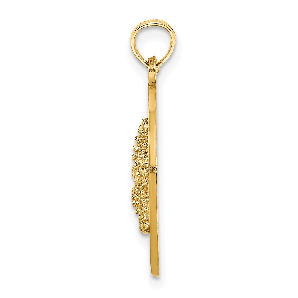 14k Yellow Gold SANIBEL Starfish Circle Charm Pendant for Women