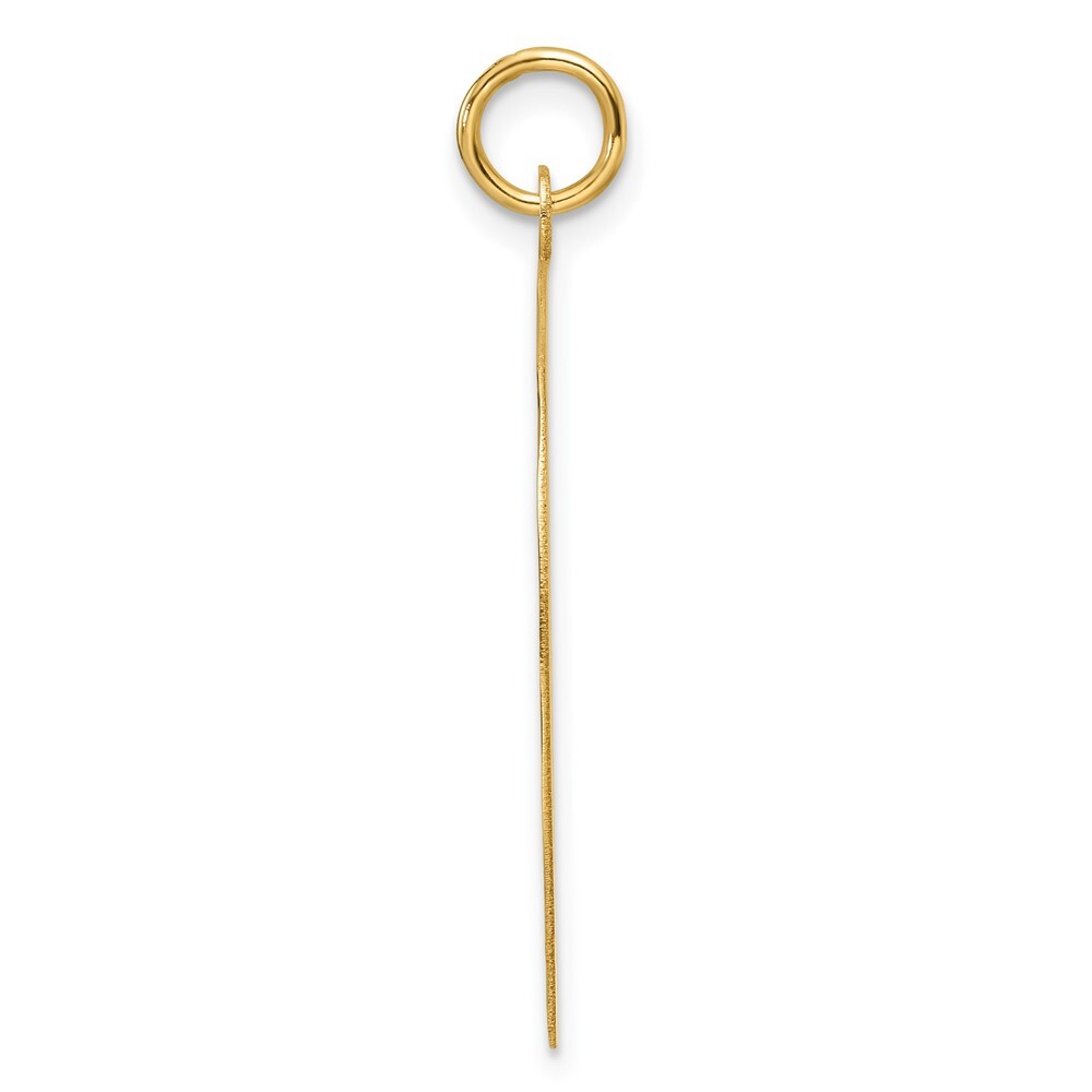 14k Yellow Gold Etched .013 Gauge Engravable Round Disc Charm Pendant for Women