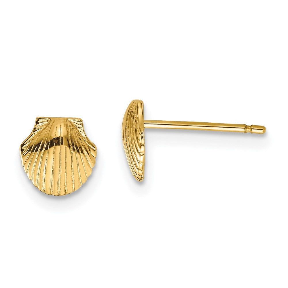 14k Yellow Gold Mini Scallop Shell Earrings