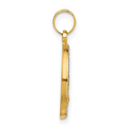 14k Yellow Gold and White Rhodium Hollow Miraculous Mary Plain Back Medal