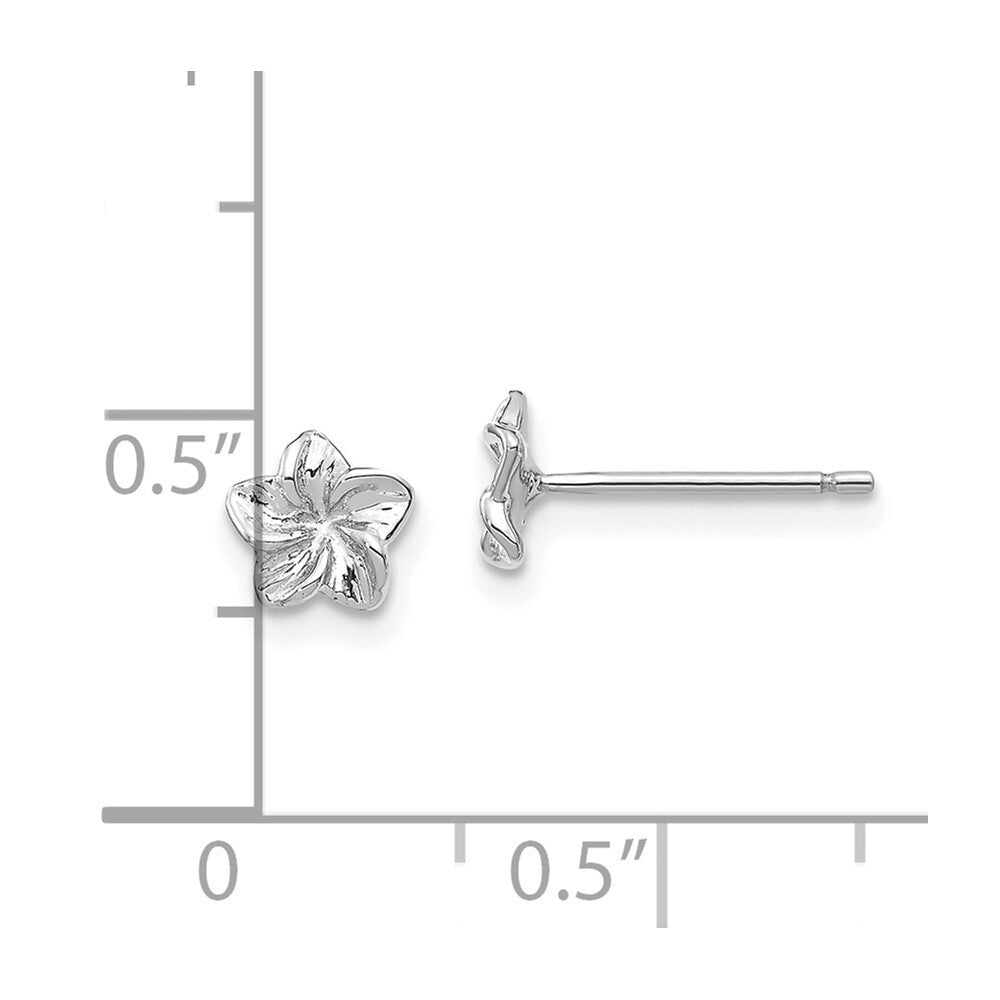 14k White Gold Plumeria Flower Stud Earrings Gift for Women