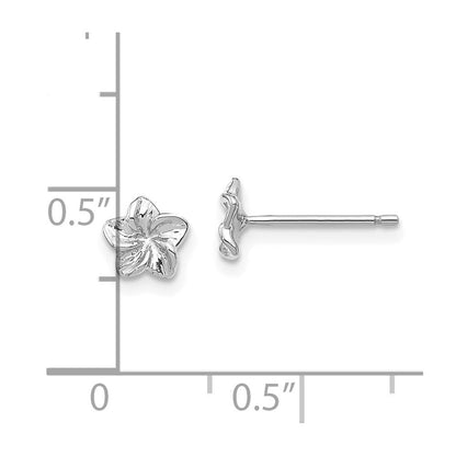14k White Gold Plumeria Flower Stud Earrings Gift for Women