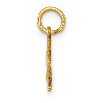 14k Yellow Gold 2025 Graduation Cap and Diploma Charm