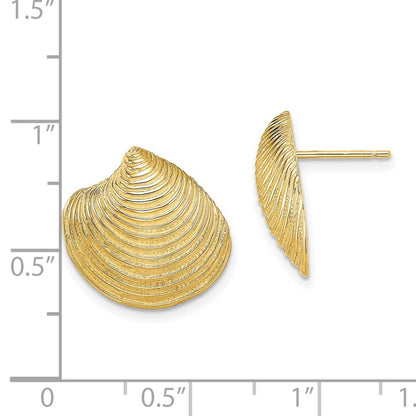 14k Yellow Gold 2-D Textured and Polished Clam Shell Stud Earrings