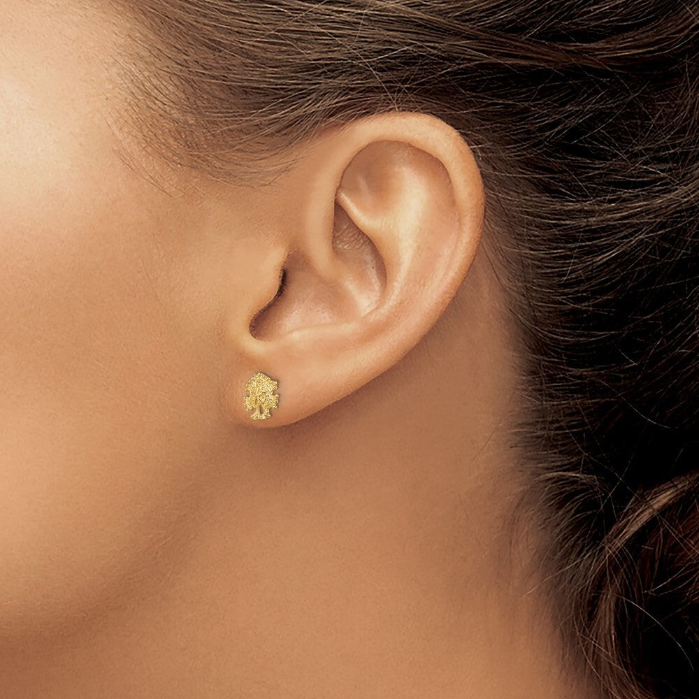 14k Yellow Gold Mini Sand Dollar Stud Earrings Gift for Women