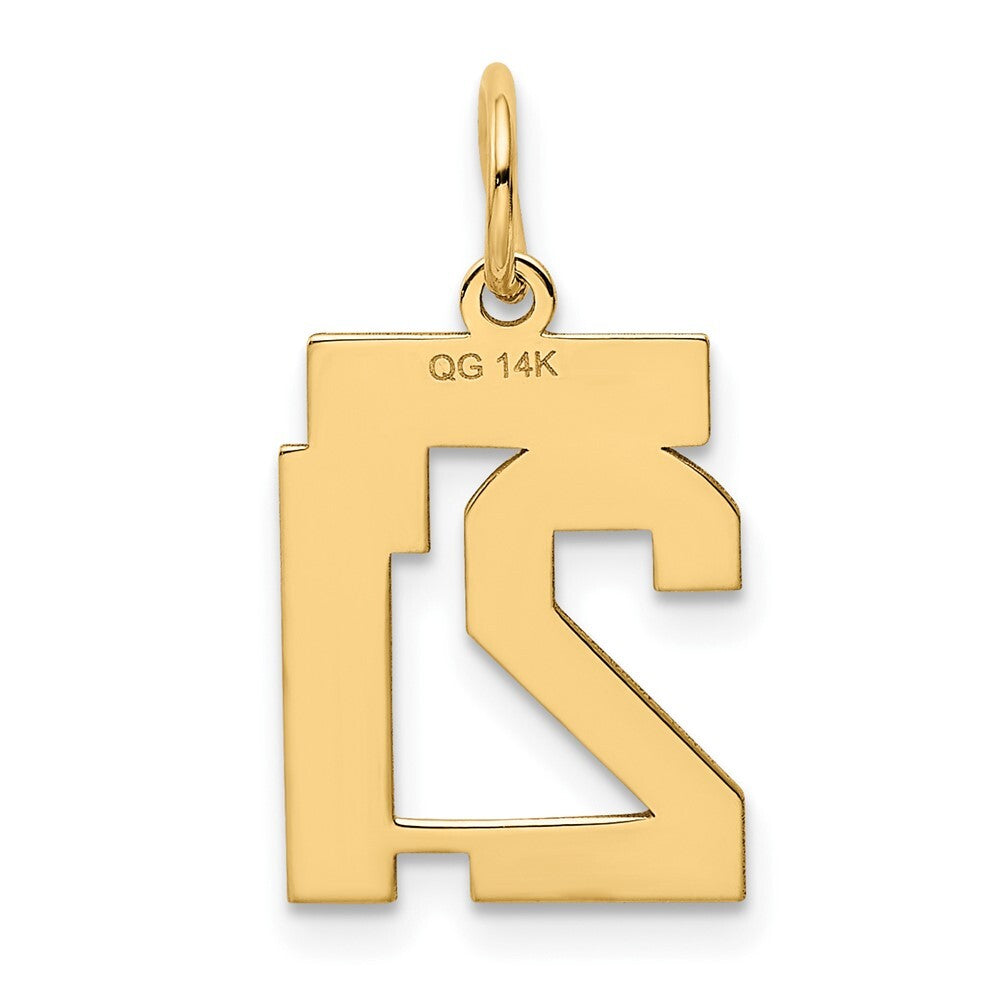 14k Yellow Gold Small Polished Number 21 Charm Pendant for Women