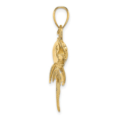 14k Yellow Gold 2-D Polished Satin Swordfish Charm
