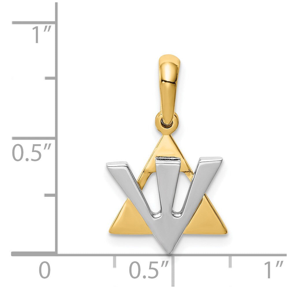 14k Two-tone Gold Star of David Shin Charm Pendant for Women